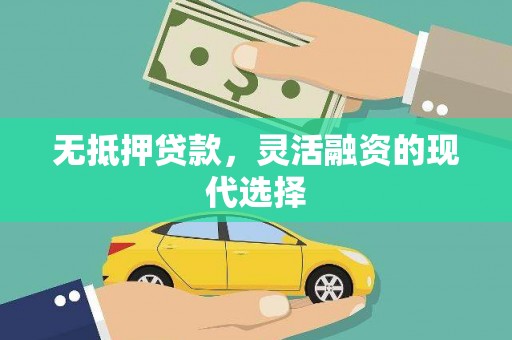 肥乡无抵押贷款，灵活融资的现代选择