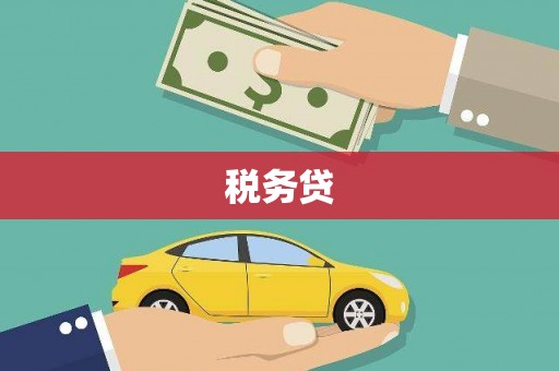 肥乡税务贷