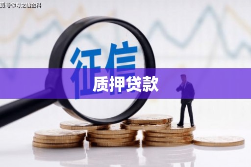 肥乡质押贷款