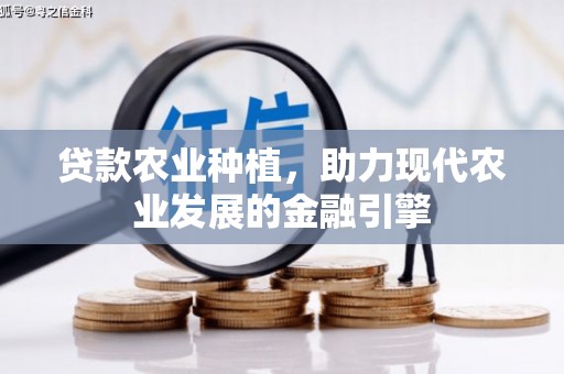 肥乡贷款农业种植，助力现代农业发展的金融引擎