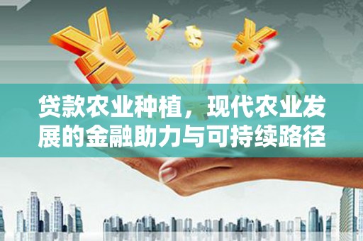 肥乡贷款农业种植，现代农业发展的金融助力与可持续路径