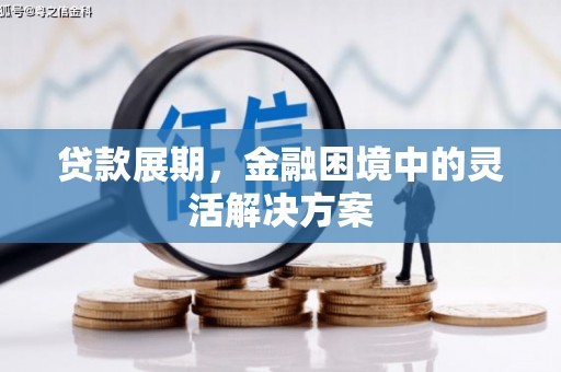 肥乡贷款展期，金融困境中的灵活解决方案