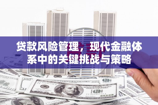 肥乡贷款风险管理，现代金融体系中的关键挑战与策略