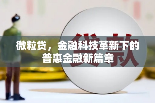 肥乡微粒贷，金融科技革新下的普惠金融新篇章