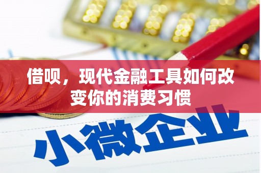 肥乡借呗，现代金融工具如何改变你的消费习惯