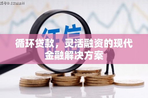 肥乡循环贷款，灵活融资的现代金融解决方案