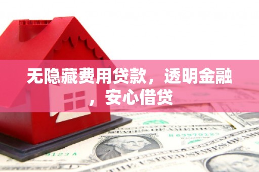 肥乡无隐藏费用贷款，透明金融，安心借贷