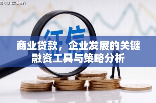 肥乡商业贷款，企业发展的关键融资工具与策略分析