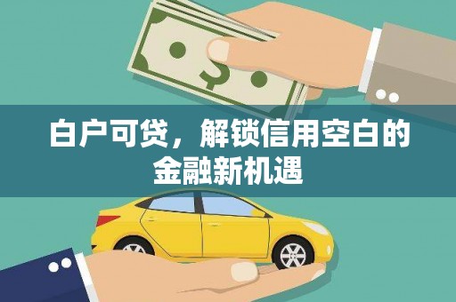 肥乡白户可贷，解锁信用空白的金融新机遇