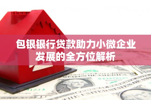 肥乡包银银行贷款助力小微企业发展的全方位解析
