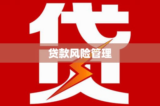 肥乡贷款风险管理