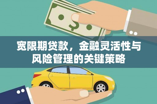 肥乡宽限期贷款，金融灵活性与风险管理的关键策略