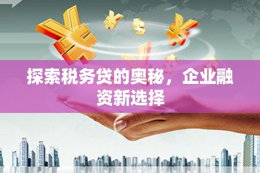 肥乡探索税务贷的奥秘，企业融资新选择