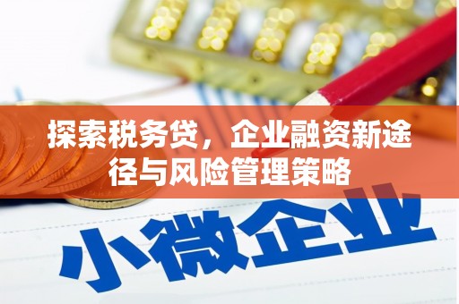 肥乡探索税务贷，企业融资新途径与风险管理策略