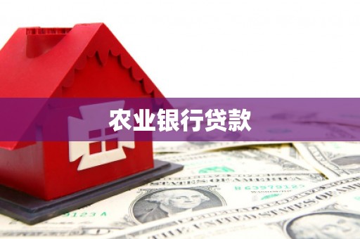 肥乡农业银行贷款