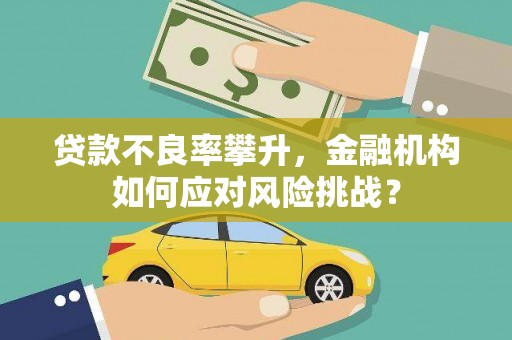 肥乡贷款不良率攀升，金融机构如何应对风险挑战？