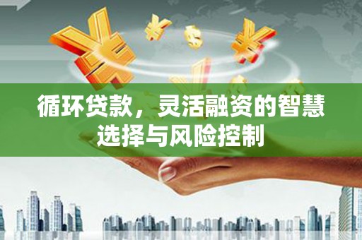 肥乡循环贷款，灵活融资的智慧选择与风险控制