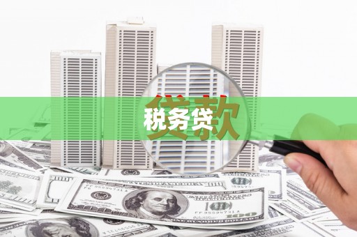 肥乡税务贷