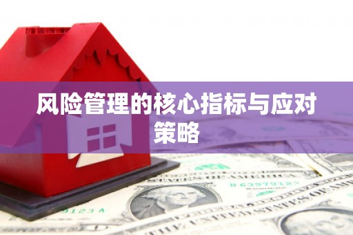 肥乡风险管理的核心指标与应对策略