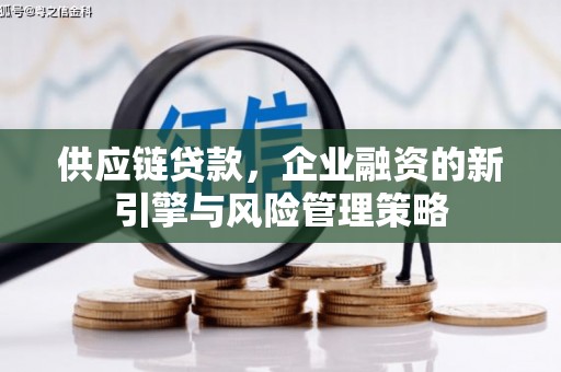 肥乡供应链贷款，企业融资的新引擎与风险管理策略