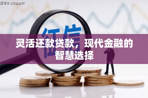 肥乡灵活还款贷款，现代金融的智慧选择