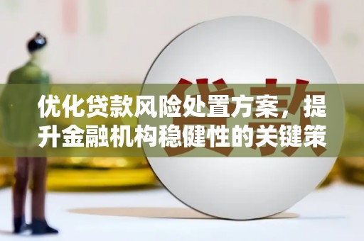 肥乡优化贷款风险处置方案，提升金融机构稳健性的关键策略