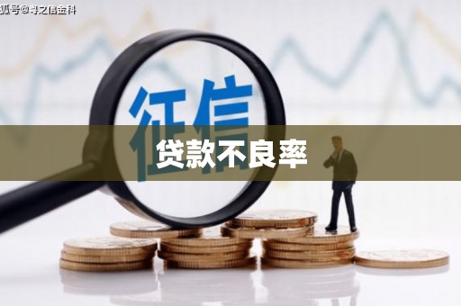 肥乡贷款不良率