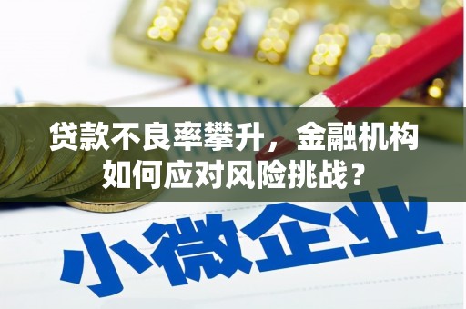 肥乡贷款不良率攀升，金融机构如何应对风险挑战？