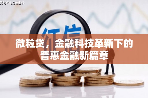 肥乡微粒贷，金融科技革新下的普惠金融新篇章