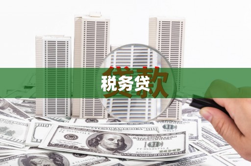 肥乡税务贷