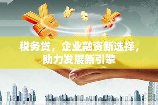 肥乡税务贷，企业融资新选择，助力发展新引擎