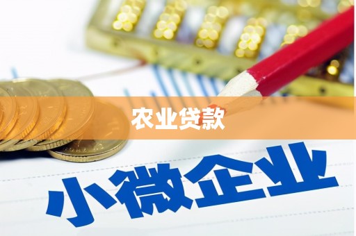 肥乡农业贷款