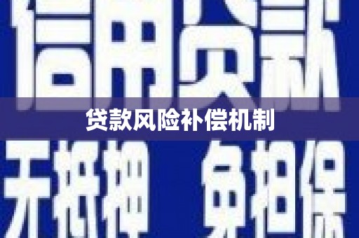 肥乡贷款风险补偿机制