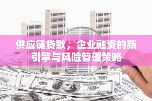 肥乡供应链贷款，企业融资的新引擎与风险管理策略