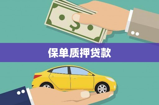 肥乡保单质押贷款