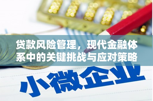 肥乡贷款风险管理，现代金融体系中的关键挑战与应对策略
