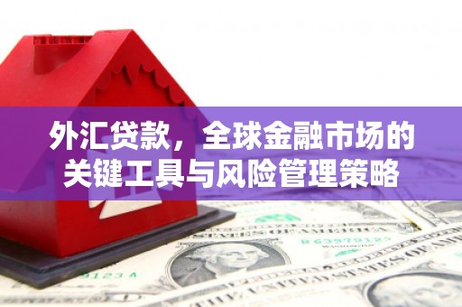 肥乡外汇贷款，全球金融市场的关键工具与风险管理策略