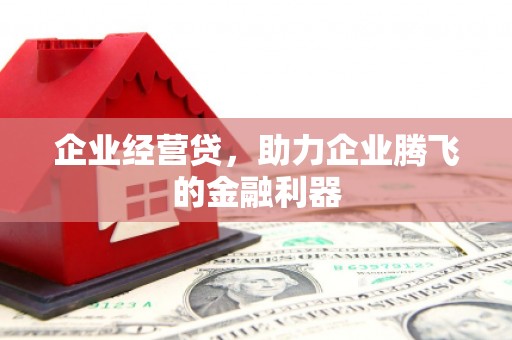 肥乡企业经营贷，助力企业腾飞的金融利器