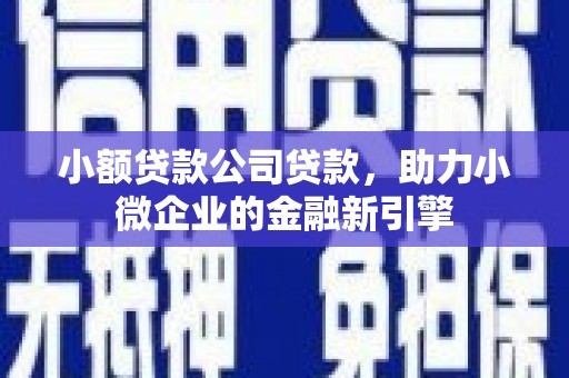 肥乡小额贷款公司贷款，助力小微企业的金融新引擎