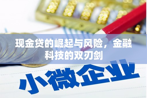 肥乡现金贷的崛起与风险，金融科技的双刃剑