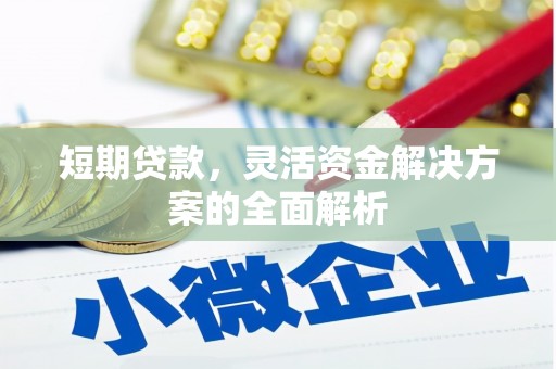 肥乡短期贷款，灵活资金解决方案的全面解析
