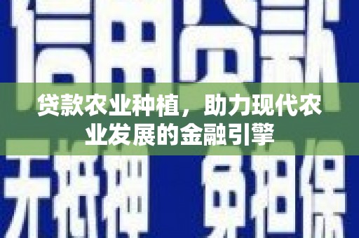 肥乡贷款农业种植，助力现代农业发展的金融引擎