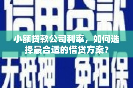 肥乡小额贷款公司利率，如何选择最合适的借贷方案？