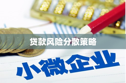 肥乡贷款风险分散策略