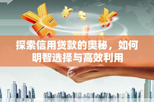 肥乡探索信用贷款的奥秘，如何明智选择与高效利用