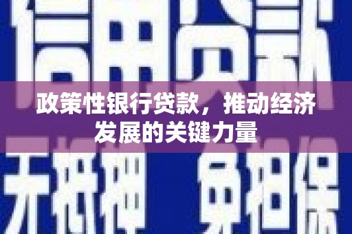 肥乡政策性银行贷款，推动经济发展的关键力量