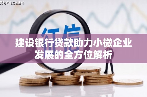 肥乡建设银行贷款助力小微企业发展的全方位解析