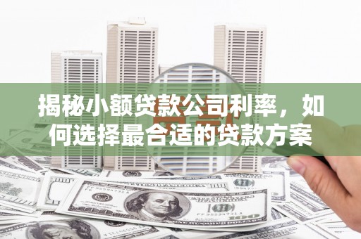 肥乡揭秘小额贷款公司利率，如何选择最合适的贷款方案