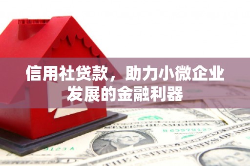 肥乡信用社贷款，助力小微企业发展的金融利器