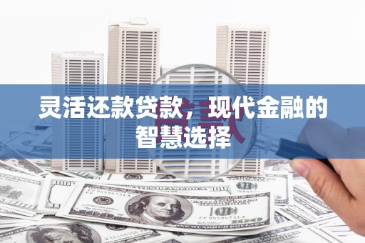 肥乡灵活还款贷款，现代金融的智慧选择